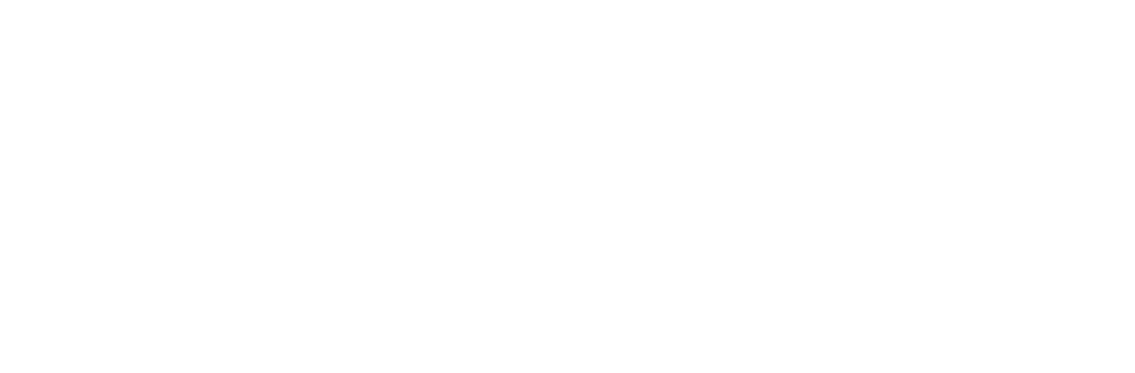 Продукция VIZ со скидками до 15% viz-white-logo.png