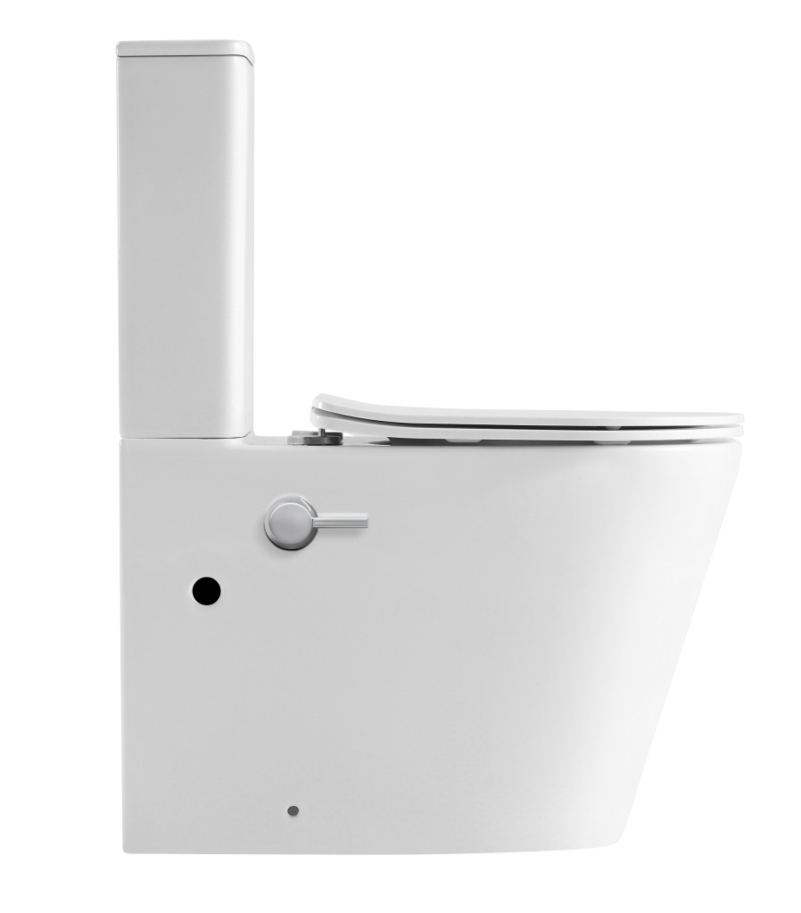 Унитаз-компакт IBERICA BLANCA BURGOS MAXI BIDE Tornado с функцией биде, белый (IB.BRM.124.1B1B) Унитаз-компакт IBERICA BLANCA BURGOS MAXI BIDE Tornado с функцией биде, белый (IB.BRM.124.1B1B)