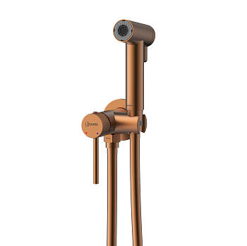 Смеситель Karelia LMF-2018S-BRRG с гигиеническим душем, встраиваемый