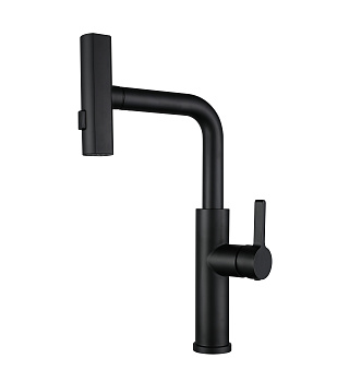 Смеситель для кухни ПРОФСАН ПСМ-307-96 STEEL AISI-304 с выдвижной лейкой тип См-МОЦБИвА черный