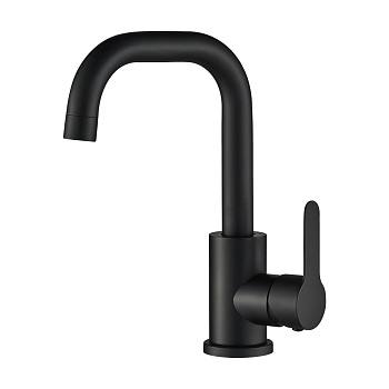 Смеситель для раковины с поворотным изливом из нержавеющей стали черный EKO, EKO05-250Black